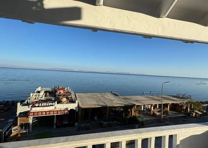 Jasmin - - Dahab