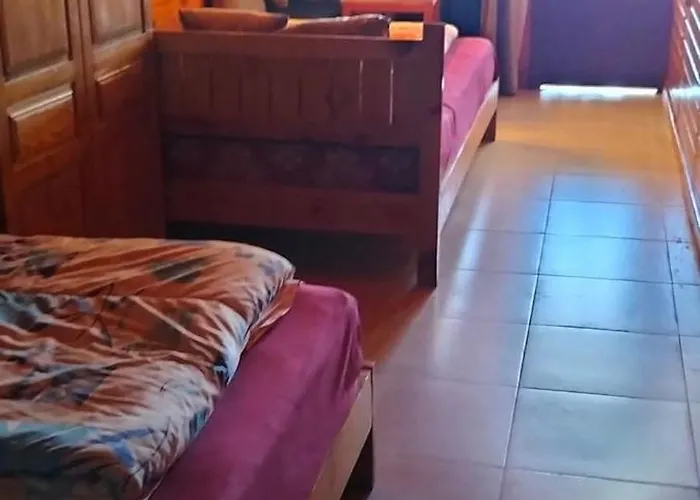 Jasmin - - Dahab